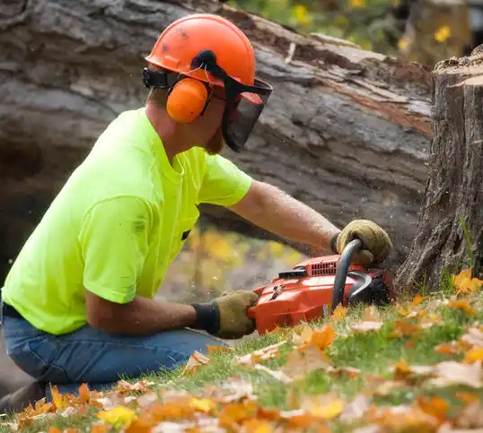 tree services Parkway